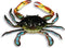 Charlotte International Large Replica Chesapeake Bay Blue Crab Wall Decor
