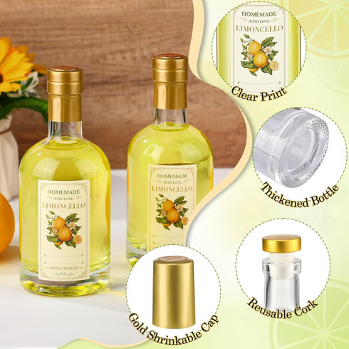 Funnymoom 6 Set 12.7 oz Limoncello Glass Bottles Gift with Airtight Lid Cap Homemade Limoncello Bottles with Labels