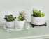 HEMYLU 10 Inch Counter 10-inch Acrylic Risers for Dcor, Round Black Pedestal Stand for Indoor Plant Holder, Decorative