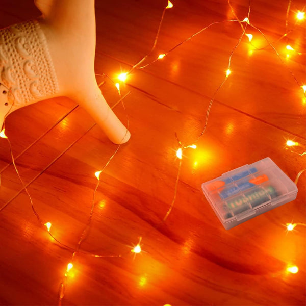 RUICHEN 16 Ft Copper Wire 50 LED Mini Fairy String Lights Battery