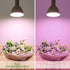 PAR38 Dimmable, Dimming Smart LED Grow Light, Sun Mode - Mimics Real Sunshine, Daily Run Auto Timer, Remote Control