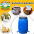 50 Packs Tanlade Chicken Waterer Chicken Feeder, Automatic Waterer Kit for Poultry Duck Goose Turkey Bunny (Blue)
