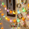 Easter Bunny Carrot String Lights, 8.5ft 10 Count Connectable Plug in Rabbit