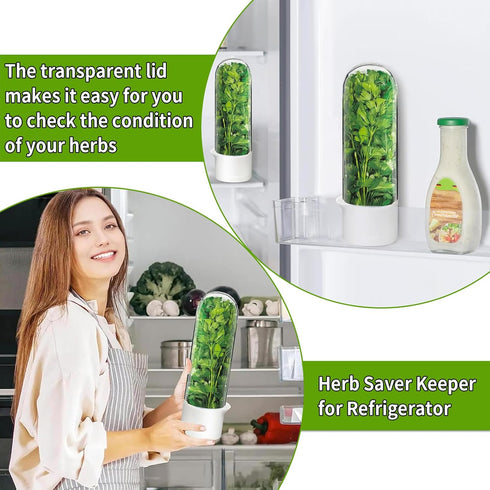 Minkeytal 2-3 Herb Saver for Refrigerator - Herb Keeper & Cilantro Container for Fridge | Vegetable Preservation