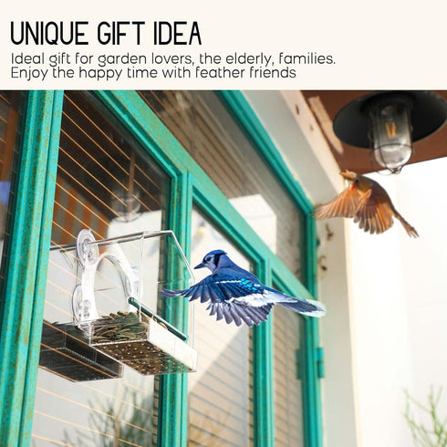 Window Bird Feeder with Strong Suction Cups, Fits Cardinals, Finches, and Chickadees