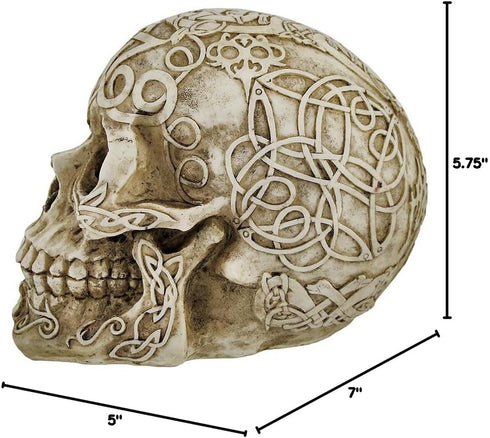 Celtic Owl Knotwork Human Skull Statue Pagan Private Label