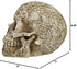 Celtic Owl Knotwork Human Skull Statue Pagan Private Label