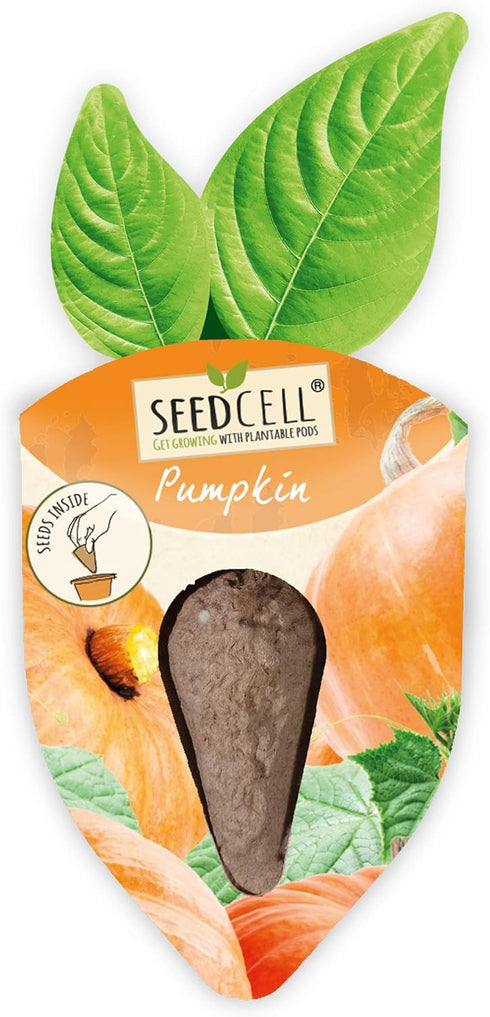 Pack 1 Vegtrug Seed Pods Kit - Vegetable Patch, Non-GMO Seeds with Fully Biodegradable Seed Pods, Contains Seeds