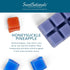 Scentsationals Wax Melts, Strong Scent - Honeysuckle Pineapple - 10oz (24-Cubes)