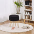 Wimarsbon Storage Ottoman,Teddy Velvet Vanity Stool,Soft Padded Seat,Round Footrest with Removable Cover and Adjustable