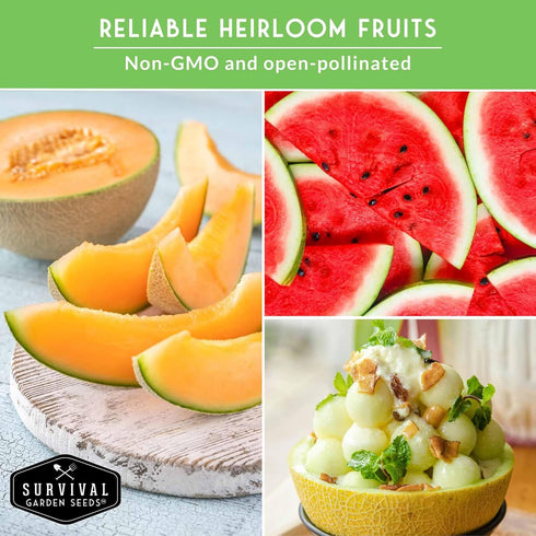 8 Pack Fruit Seeds for Planting - Variety | Watermelon, Cantaloupe, Melon, Strawberry, Ground Cherry for Home Vegetable