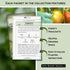 Sow Right Seeds - Cherry Tomato Seed Collection for Planting - Black, Large Red, White, Orange, Bi-Color Cherry