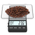 WEIGHTMAN Espresso Scale with Timer, 1000g x 0.1g Small & Thin Travel Coffee Scale, Mini Digital Scale with Backlit LCD