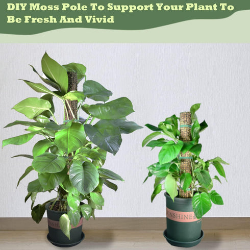 chicarry 6.6/13.2/26.4ft 2Pcs 8.3in3.3ft (6.6ft Moss Pole DIY Kit, Metal Moss Pole for Plants Monstera, Steel Mesh