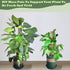 chicarry 6.6/13.2/26.4ft 2Pcs 8.3in3.3ft (6.6ft Moss Pole DIY Kit, Metal Moss Pole for Plants Monstera, Steel Mesh