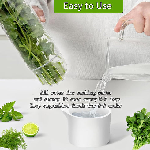HVECT 2-3 1Pack) Herb Saver for Refrigerator, Herb Saver Pod Cilantro Containers for Refrigerator, Fresh Herb Keeper