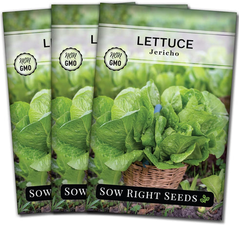 Sow Right Seeds - Jericho Lettuce Seeds for Planting - Non-GMO Heirloom