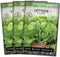 Sow Right Seeds - Jericho Lettuce Seeds for Planting - Non-GMO Heirloom