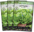 Sow Right Seeds - Jericho Lettuce Seeds for Planting - Non-GMO Heirloom