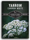 White Yarrow Seeds for Planting - 1 Packet with Instructions to Grow Beneficial Flowering Herbs - Non-GMO Heirloom