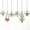 SZRUIZFZ Black Metal Air Plant Hanger, Tillandsia Air Plants Holders Unique, Modern Air