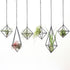 SZRUIZFZ Black Metal Air Plant Hanger, Tillandsia Air Plants Holders Unique, Modern Air