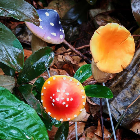Mushroom Garden-Decor Fairy Garden-Accessories - Outdoor Spring Patio Decor Waterproof Mushroom Statues Patio Lawn