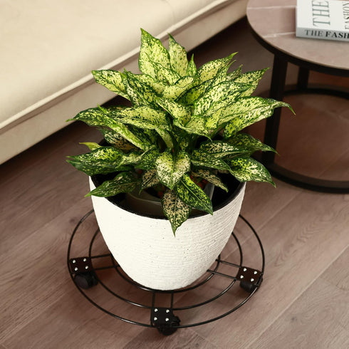 3 Packs 13.5" 5 Metal Plant Caddy with Wheels Large Wrought Iron Metal Rolling Plant Stands Heavy-duty Plant Roller Pot
