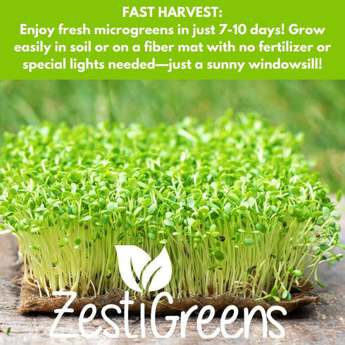10 Pack Variety Microgreens Seeds - Broccoli, Sunflower, Pea, Salad Mix, Daikon Radish, Kale, Amaranth, Spicy Salad