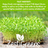 10 Pack Variety Microgreens Seeds - Broccoli, Sunflower, Pea, Salad Mix, Daikon Radish, Kale, Amaranth, Spicy Salad