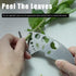 9 (1Pcs) Herb Stripper Holes, Stainless Steel Kitchen Herb Stripping Tool Loose Leaf Kale Razor Metal Leaf Pealer