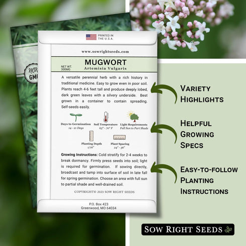 Packet (1) Sow Right Seeds - Mugwort Seeds for Planting - Non-GMO Heirloom with Instructions to Plant an Outdoor