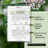 Packet (1) Sow Right Seeds - Mugwort Seeds for Planting - Non-GMO Heirloom with Instructions to Plant an Outdoor