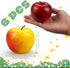 6 Lorigun Pcs Artificial Apples, Fake Fruits Apples for Decoration Realistic, Artificial Fruits Lifelike Red Apples