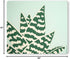 modern-twist 14 x 16 Silicone Placemat, BPA PVC-Free Table Mat, Dishwasher Safe, Conservatory Print in Tiger Aloe