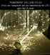 Clear Transparent Balloon Sticks and Stands, 10pc Set for Table Top Use with LED Bobo Balloon, Wedding Decor