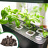 LANVRION IG201Hydroponic 50 Pack Grow Sponges, Seed Starter Pods Root Growth Sponges Eco-Friendly PH Balanced Square