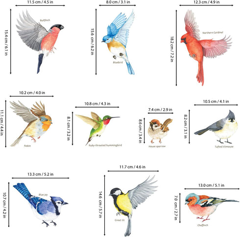 DECOWALL CDS2-9001 Anti-Collision Window Clings, Bird Alert Decals to Prevent Bird Strikes, Set of 10