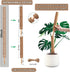 PLANTPOLEX 2 Pack 17 Inch Moss Pole, Monstera Plant Support for Climbing Plants Accessories Indoor, Stackable Moss