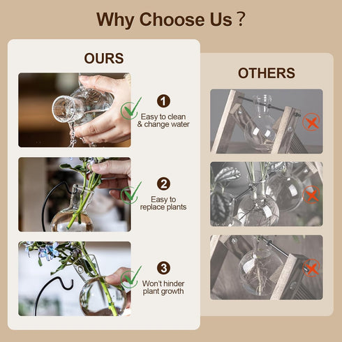 (6) Desktop Glass Plant Propagation Station with Metal Stand,Tabletop Plant Terrarium,Hydroponics Vase for Propagating