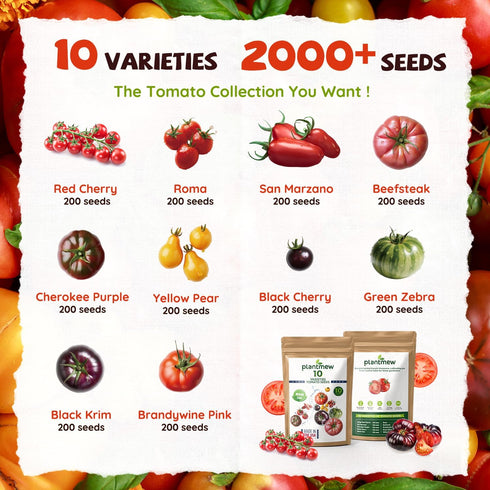10 Packet Heirloom Tomato Seed Varieties - Non-GMO, Open Pollinated Seeds for Planting Home Garden - Beefsteak, Roma