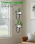 (3 Pack) Wall Planters for Indoor Plants, Mounted Holder Shelf, Metal Plant Wall Hanger, Decorative Plant Shelf