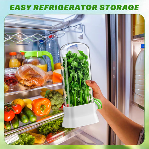2 2-3 Baderke Pieces Herb Saver for Refrigerator Herb Keeper Herb Storage Containers Herb Saver Pod for Cilantro