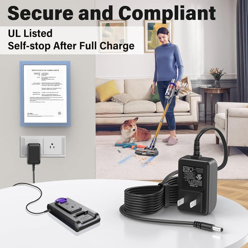 HIENADTOR 30V 25.9V 30V 5 3 4 1 5 4 3 1 Vacuum Cleaner Charger Compatible with Laresar Li-ion Battery Cordless Stick