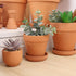 Yishang 3 Inch Small Terracotta Clay Pots, Pack of 22 Mini Hand Craft Nursery Plant Pot for Home Garden
