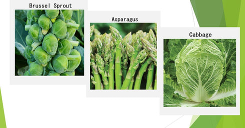 Apexmode 12 Premium Winter Vegetable Seeds for Planting Organic Non-GMO Heirloom Seeds Varieties: Radish, Pea