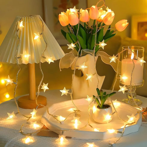 20 10 ANJAYLIA LED Star String Lights FT Fairy Christmas Lights Battery Operated for Indoor & Outdoor, Party, Wedding