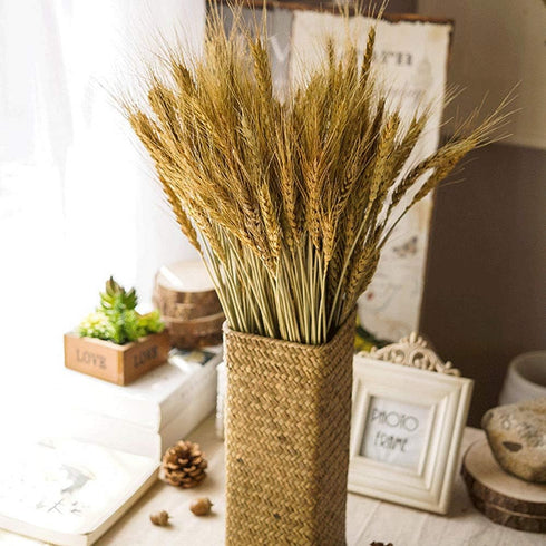 100 Pcs Dried Wheat Sheaves Bundle, Golden Natural Wheat Bouquet for Fall Farmhouse DIY Decor (16")
