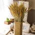 100 Pcs Dried Wheat Sheaves Bundle, Golden Natural Wheat Bouquet for Fall Farmhouse DIY Decor (16")