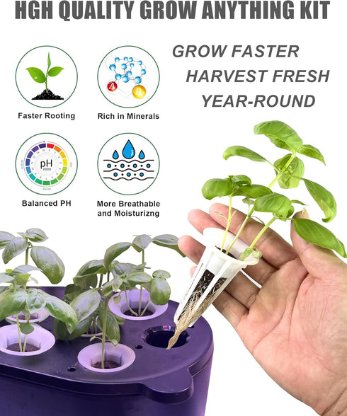 167 Pods,60 Sponges,15 Baskets,15 Domes,60 Labels,15 Labels,2 Pcs Hydroponic Seed Pods Kit Supplies for Aerogarden Grow